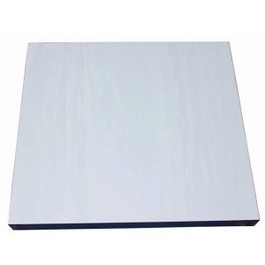 Homogeneous PVC Covered Calcium Sulphate Raised Access Flooring (3)